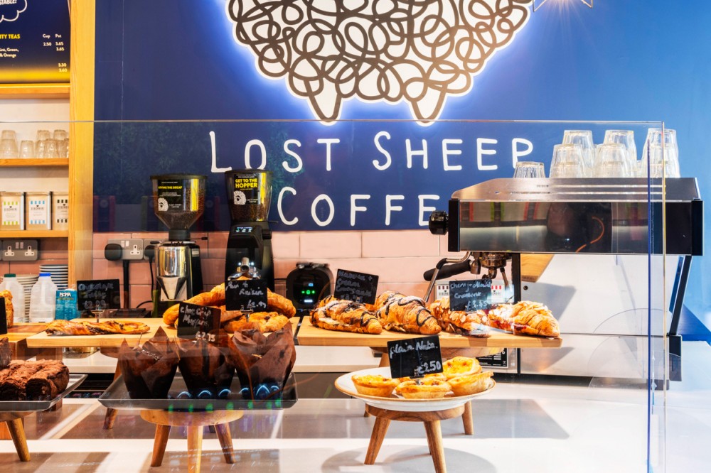 Lifeforms Lost Sheep Coffee Canterbury 
